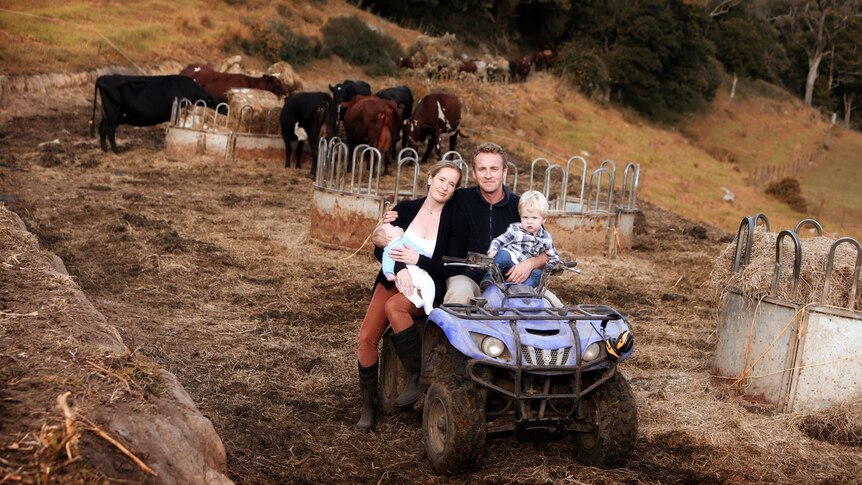 Man, woman and toddler sit on quad bike surrounded by dairy cattle