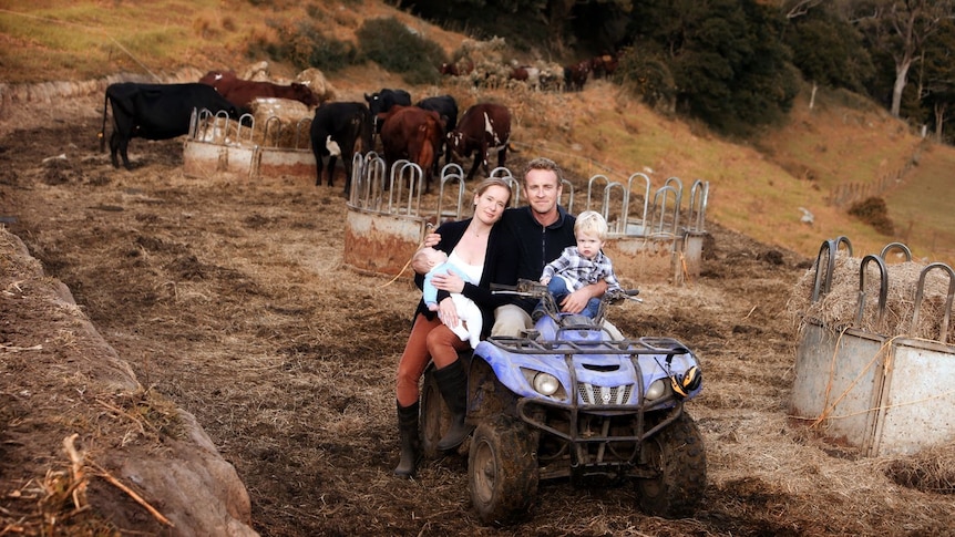 Man, woman and toddler sit on quad bike surrounded by dairy cattle
