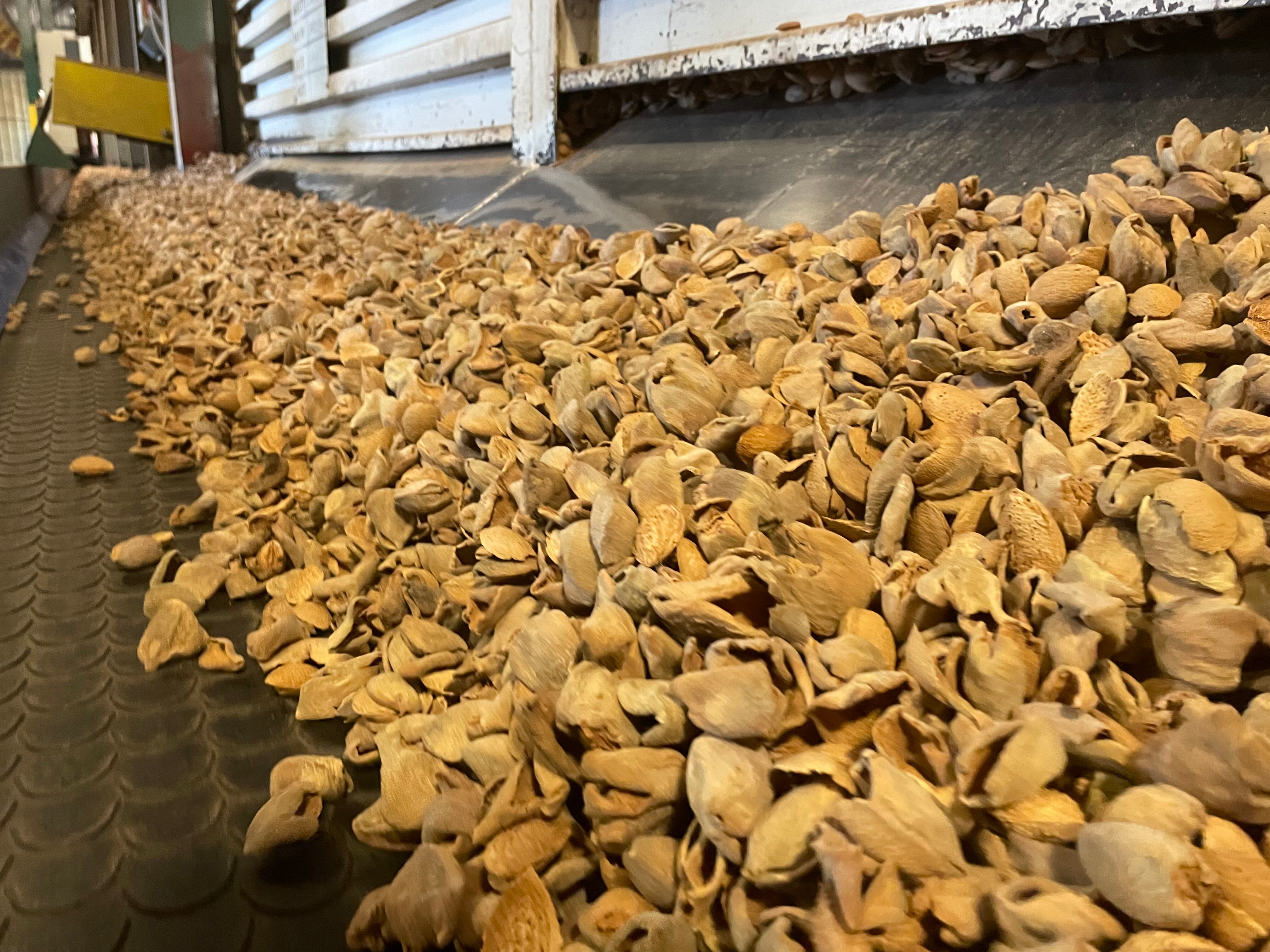 Biochar industry fuelled by agricultural waste expected to grow ABC News