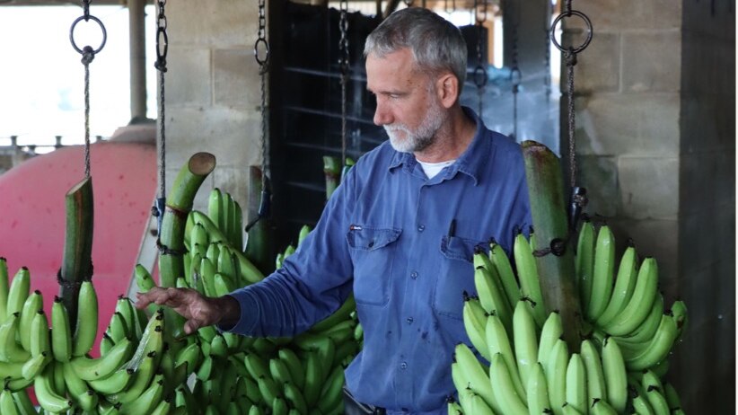 James' bananas may well set the record for the longest journey from farm to fork in the whole country