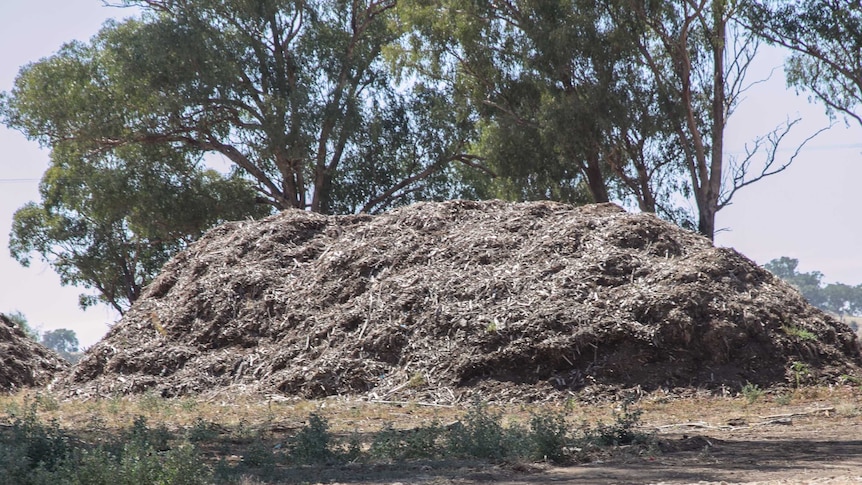 A mound of organic matter in front of some trees