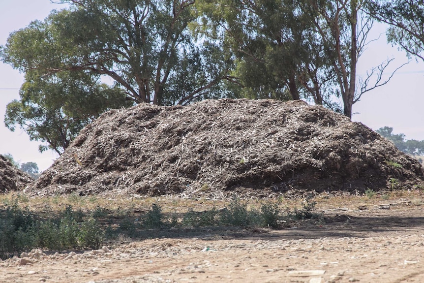 A mound of organic matter in front of some trees