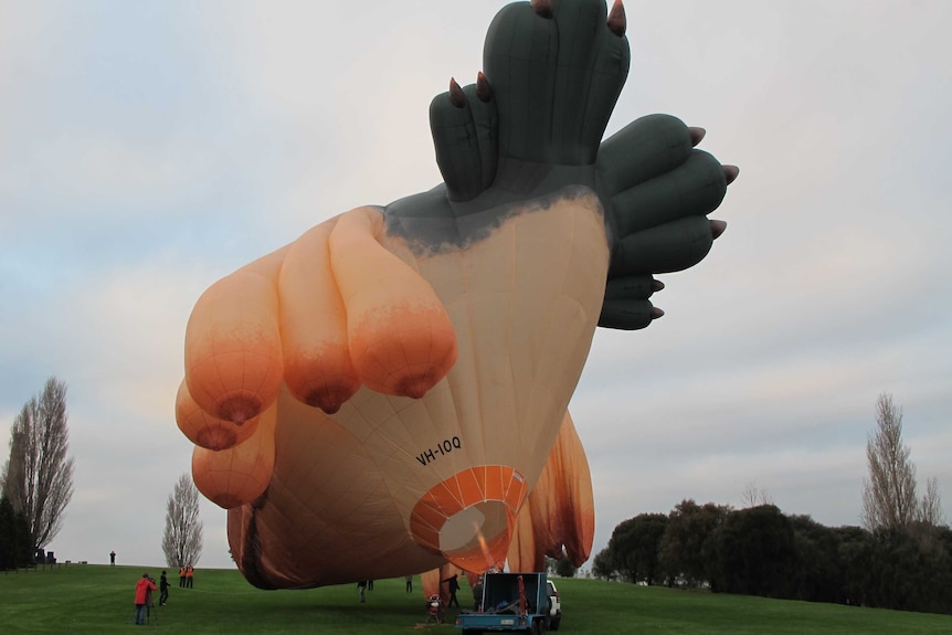 Skywhale is inflated at Hobart's Cenotaph.