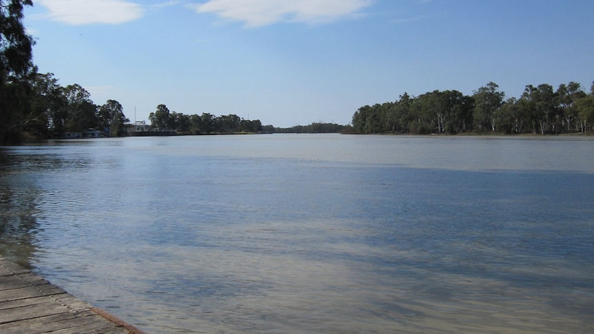 River Murray in Riverland