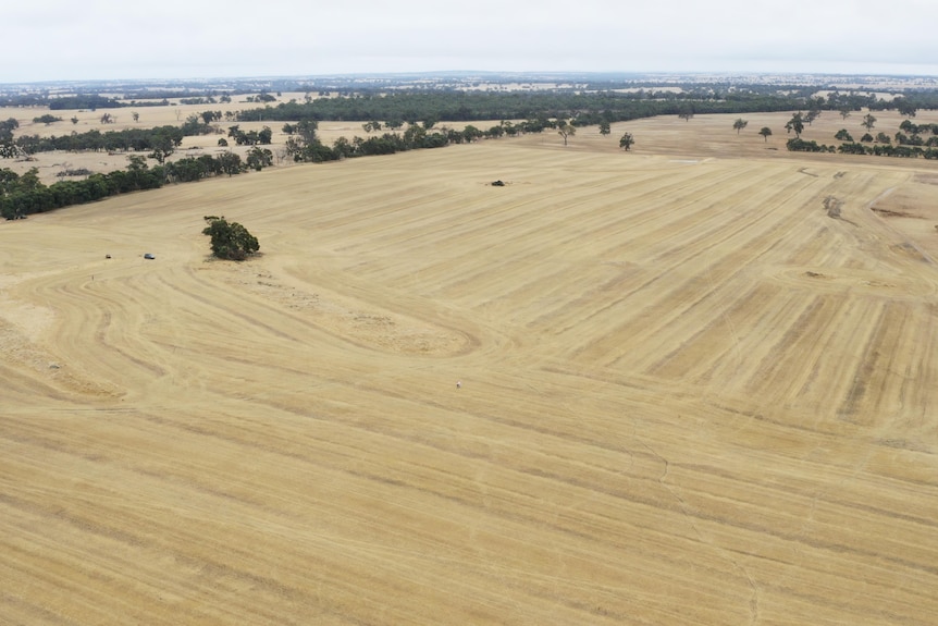 An aerial shot of a large, flat expanse of land