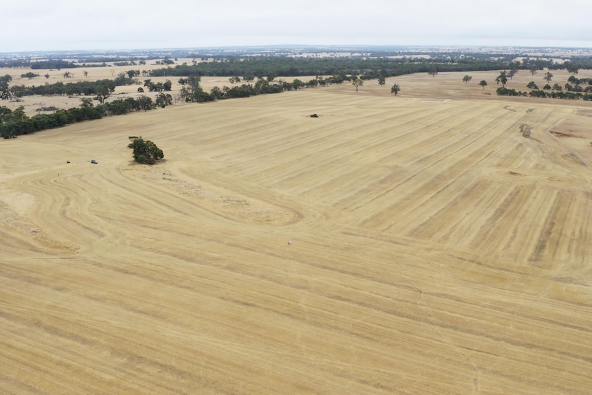 An aerial view of a large expanse of flat land