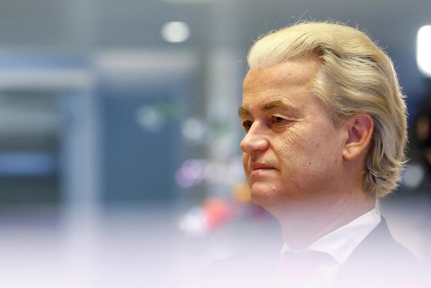 Side profile of Geert Wilders wearing a suit with his hair combed back