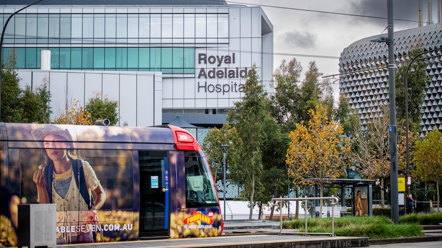 A tram in front of a white hospital building with green and yellow trees