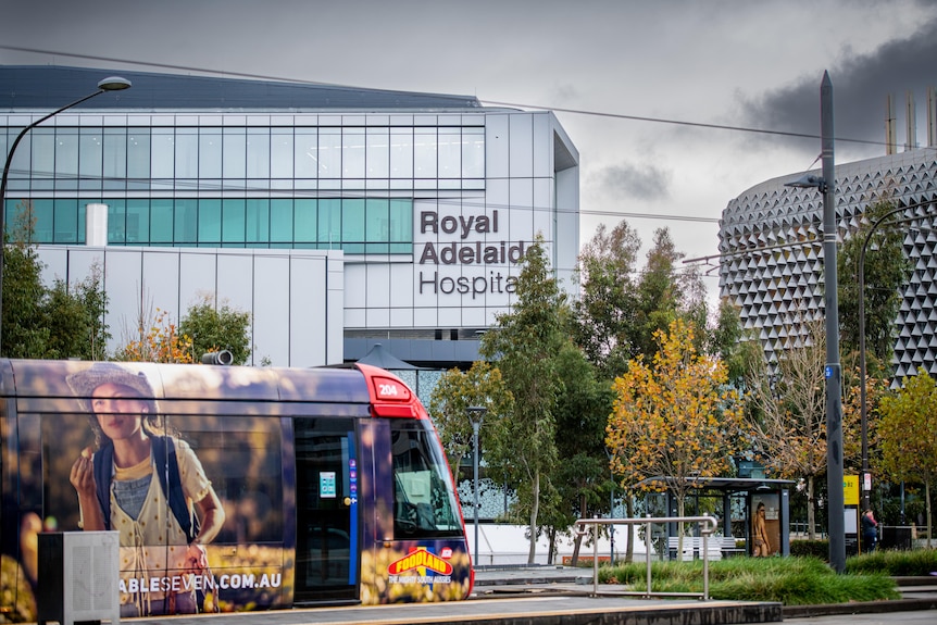 A tram in front of a white hospital building with green and yellow trees