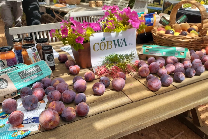 New organisation to represent WA organic producers