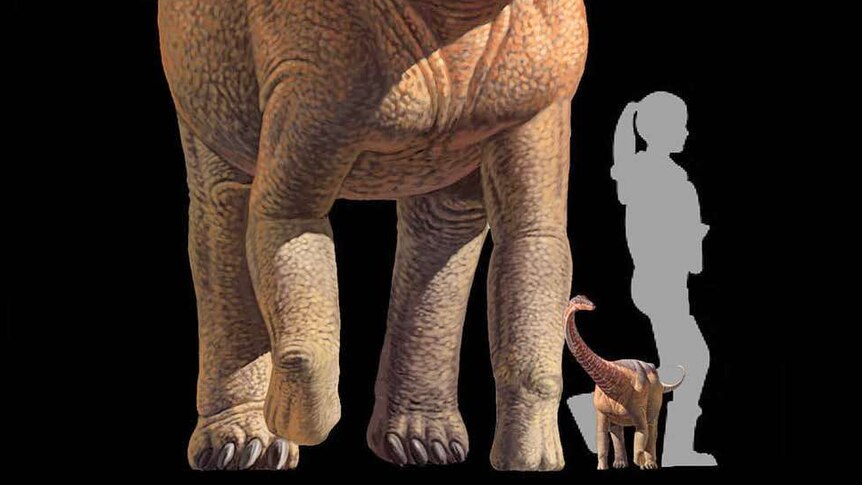 Graphic comparing size of a baby and adult Rapetosaurus to an average-sized woman