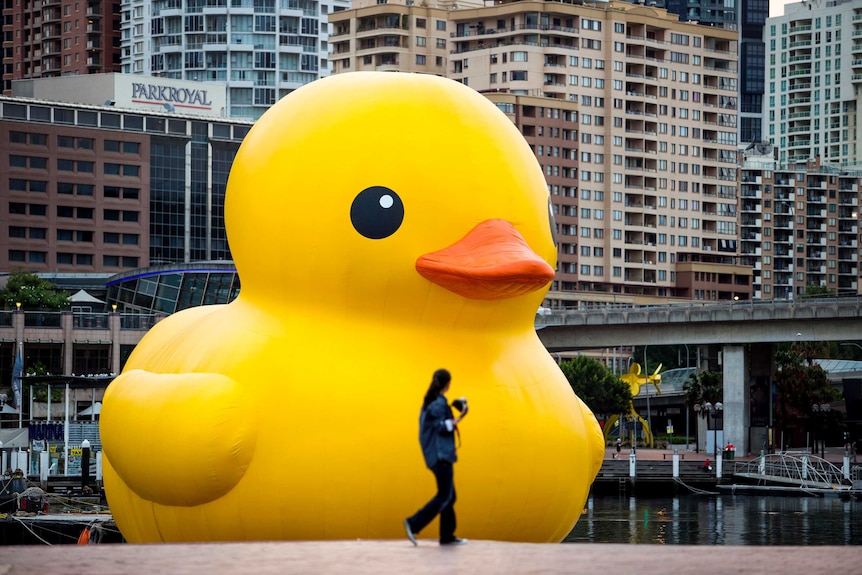 A woman walks past Florentijn Hofman’s giant Rubber Duck installation at Darling Harbour in Sydney.
