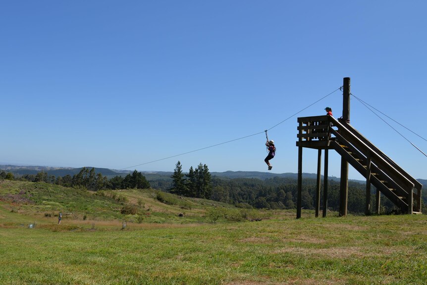 A person on a flying fox.