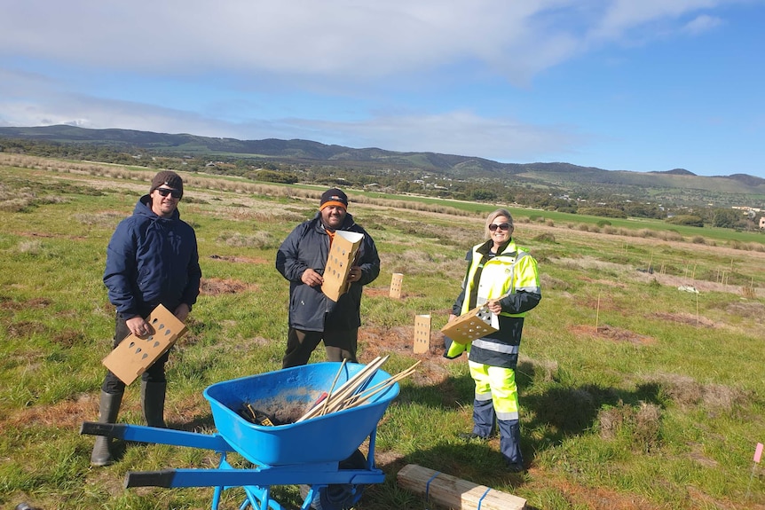 Two men and a woman stand in front of a wheelbarrow in the Aldinga wetlands.