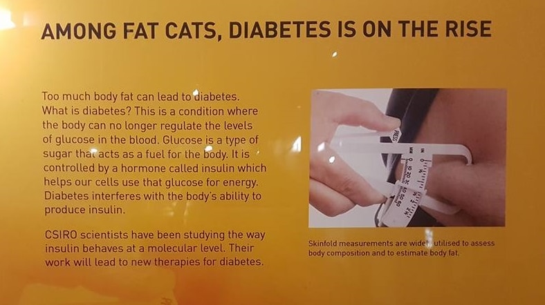 photograph of board about diabetes