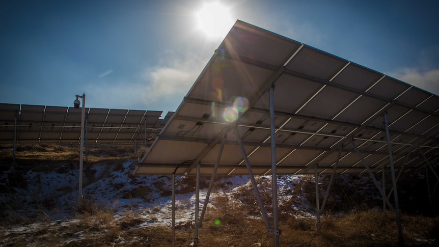 A close up of a solar panel surrounded by grass and white snow