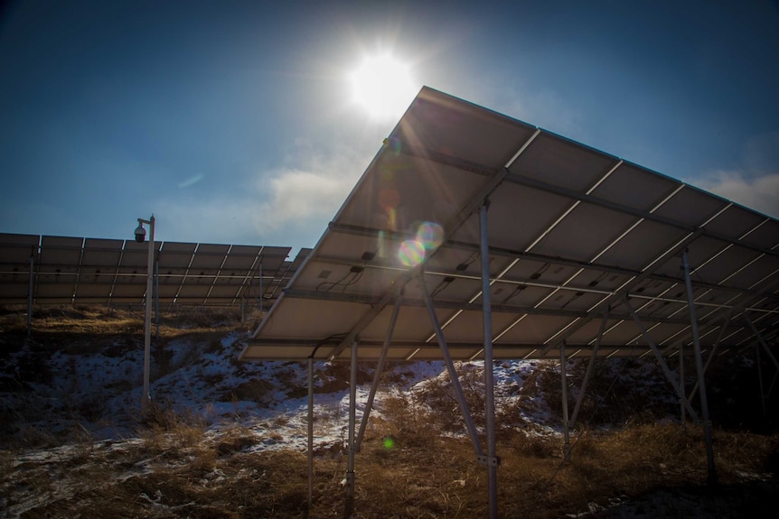 A close up of a solar panel surrounded by grass and white snow