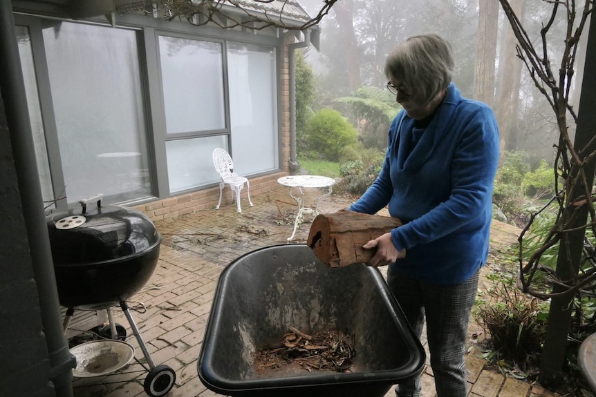 A woman puts a log of wood into a wheelbarrow.