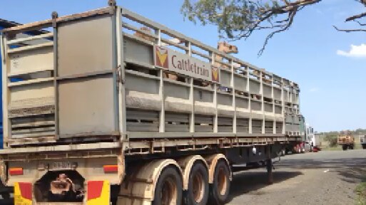 Concerns were raised on Saturday morning when 18 camels were left at the Charlton truck stop on the Warrego Highway outside Toowoomba's western outskirts.