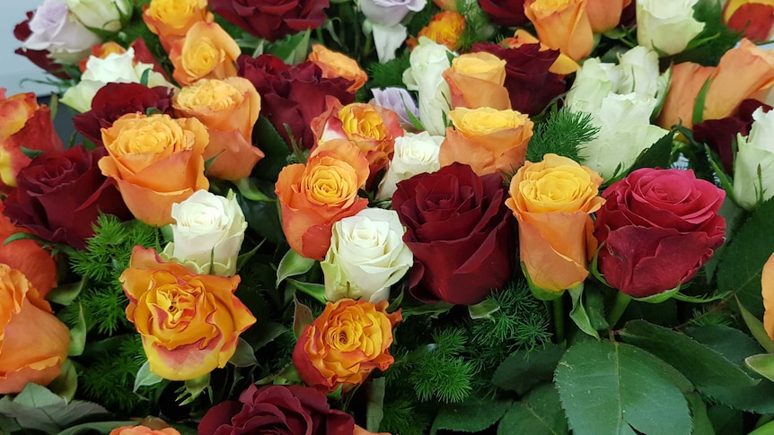 A bunch or assorted coloured roses, including red, white, orange and purple