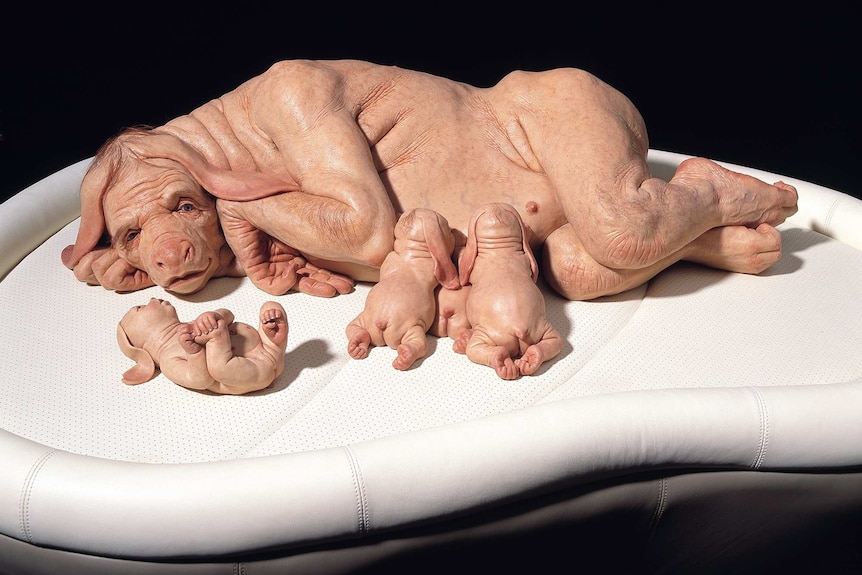 The Young Family by Patricia Piccinini