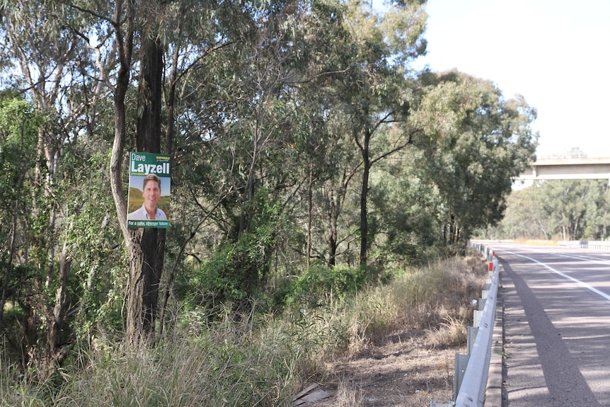 election sign on a tree on the side of the road