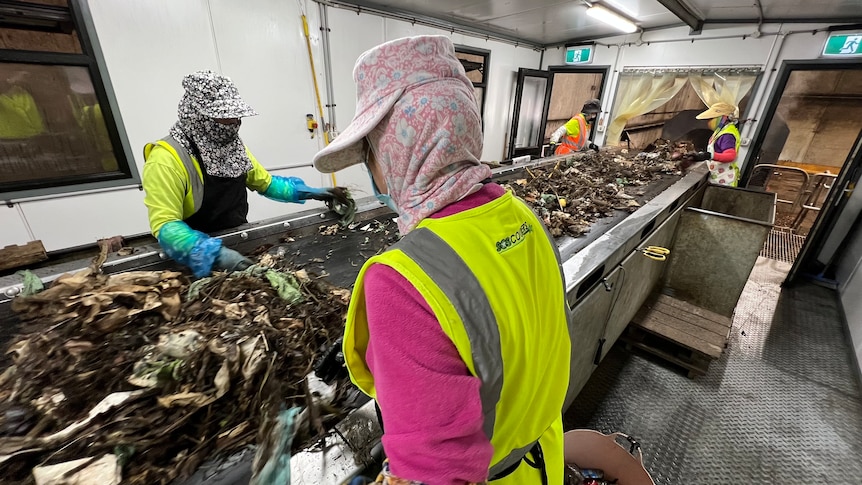women standing alongside a conveyor belt, removing contaminants from food waste