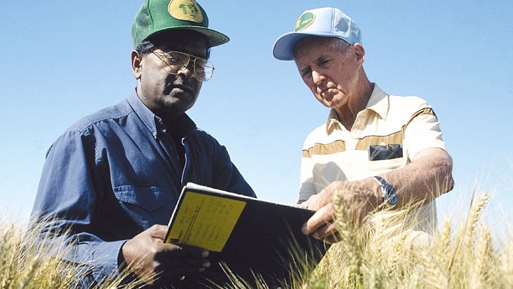 Norman Borlaug and Sanjaya Rajaram