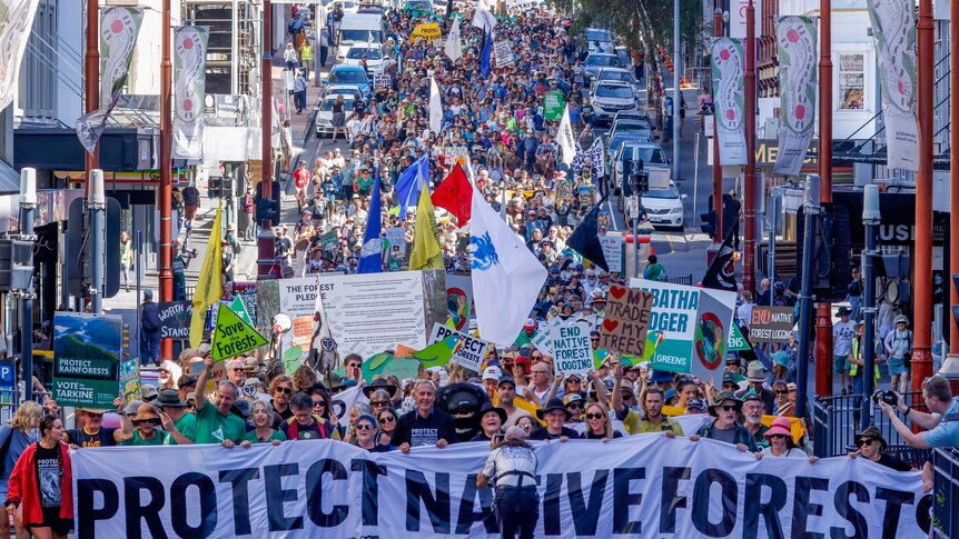 A crowd of people marching with banners and signs calling for an end to native forest logging in Tasmania.