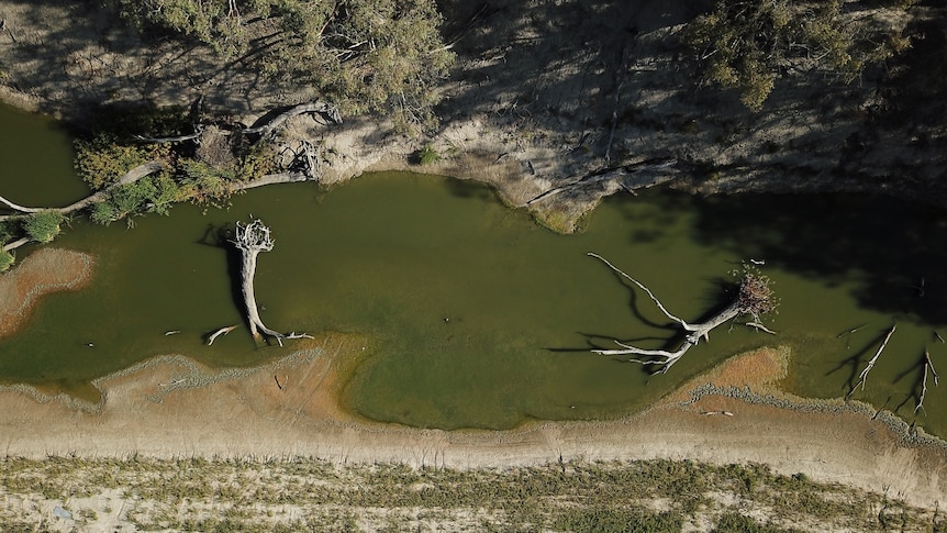 2019 Menindee drought Darling