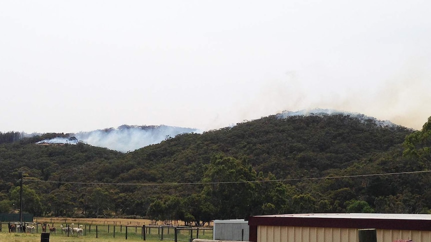 A bushfire burns near properties in the hills at Kyeema.