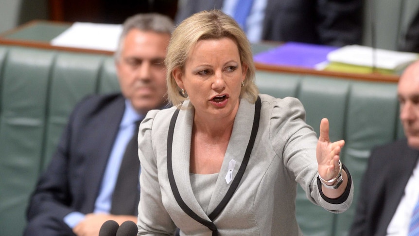 Sussan Ley in during Question Time