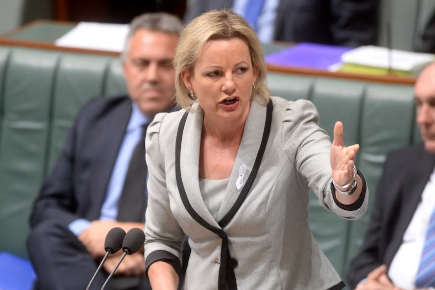 Sussan Ley in during Question Time