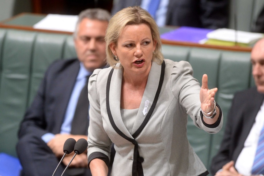 Sussan Ley