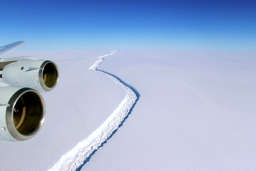 The Larsen ice shelf broke away from Antarctica