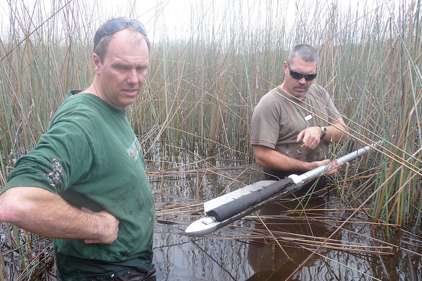Researchers John Tibby and Cameron Barr take sediment core samples in Duck Lagoon on North Stradbroke Island off Brisbane.