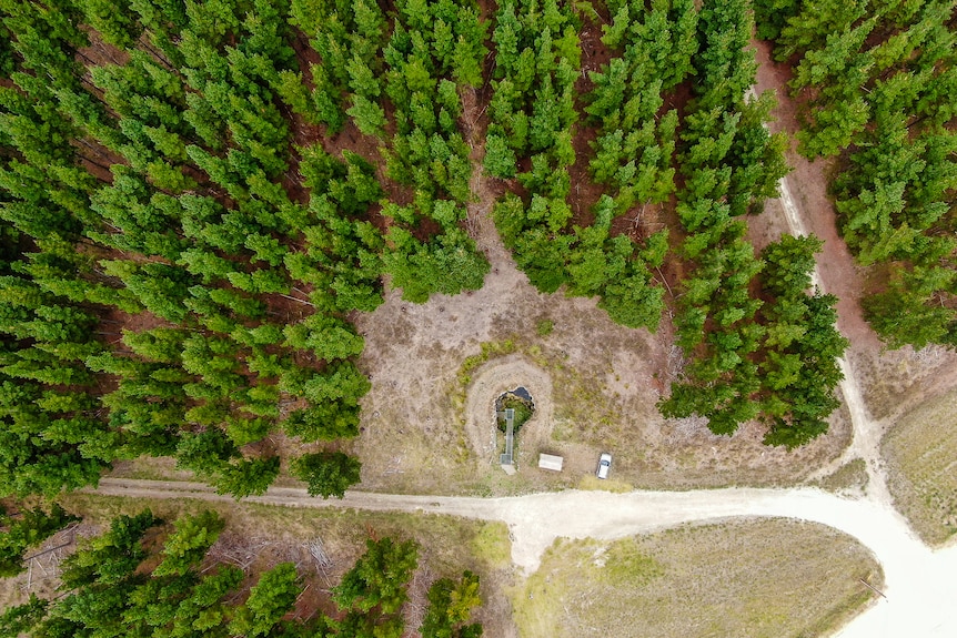 Photo aérienne d'une forêt de pins avec une petite clairière au milieu où se trouve l'entrée du gouffre.