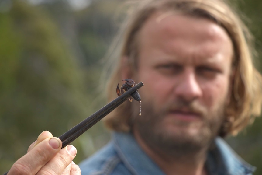A man holds a scorpion out to the camera, held between chopsticks.