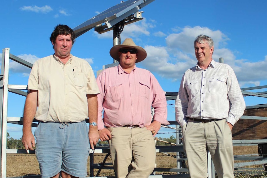 Three men standing in front of portable yards on a cattle property.