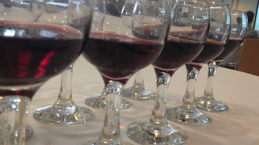 Wine glasses holding shiraz in a row.
