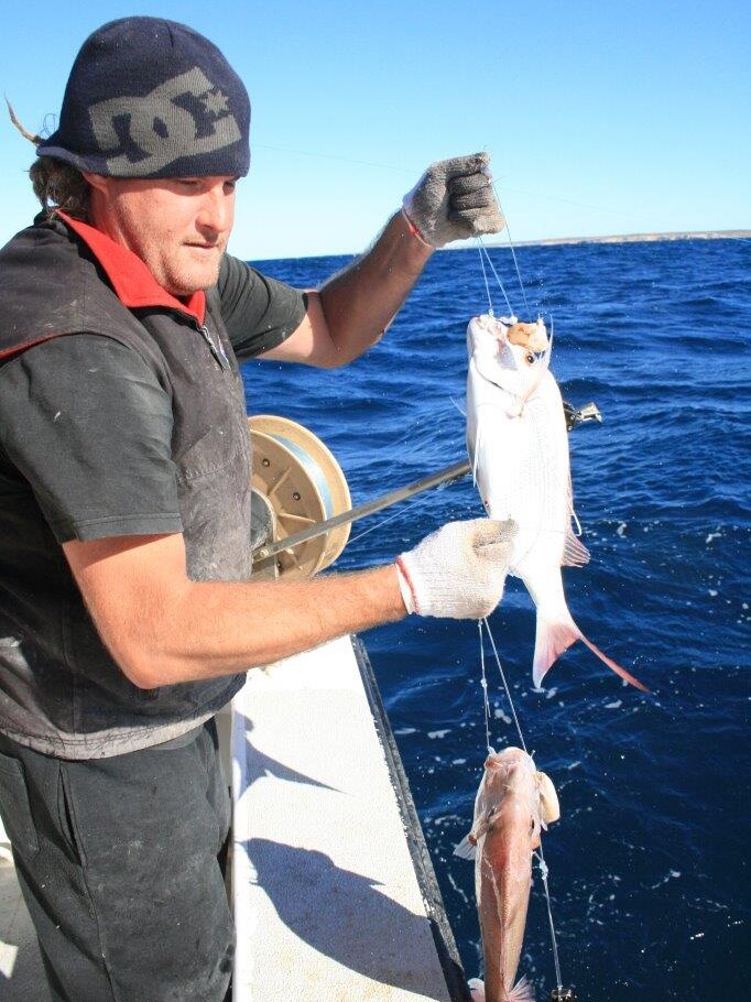 A commercial fisherman in the Gascoyne pulls in fish on a line