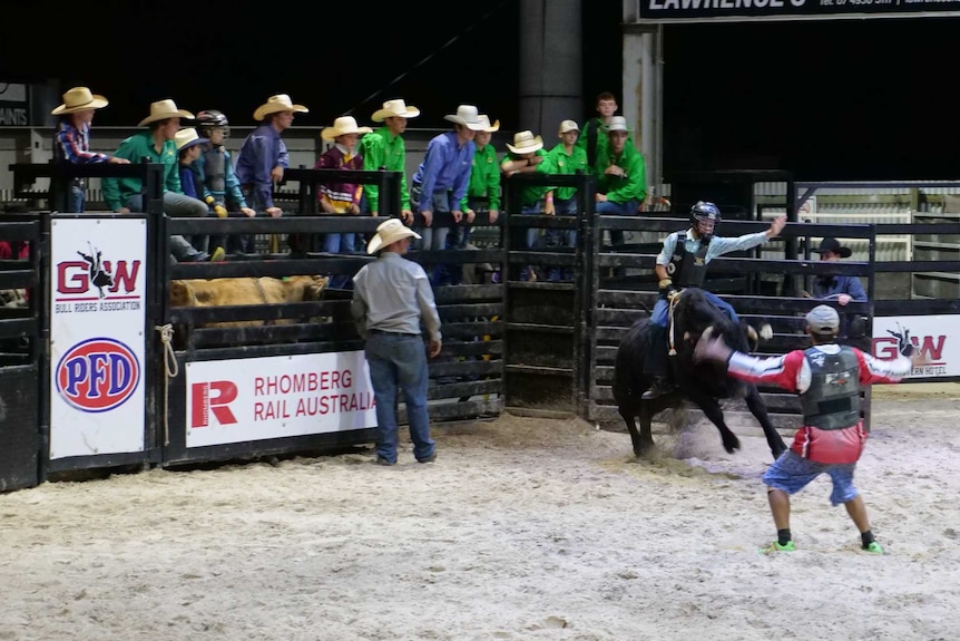 A group of men line the rails watching a rodeo rider.