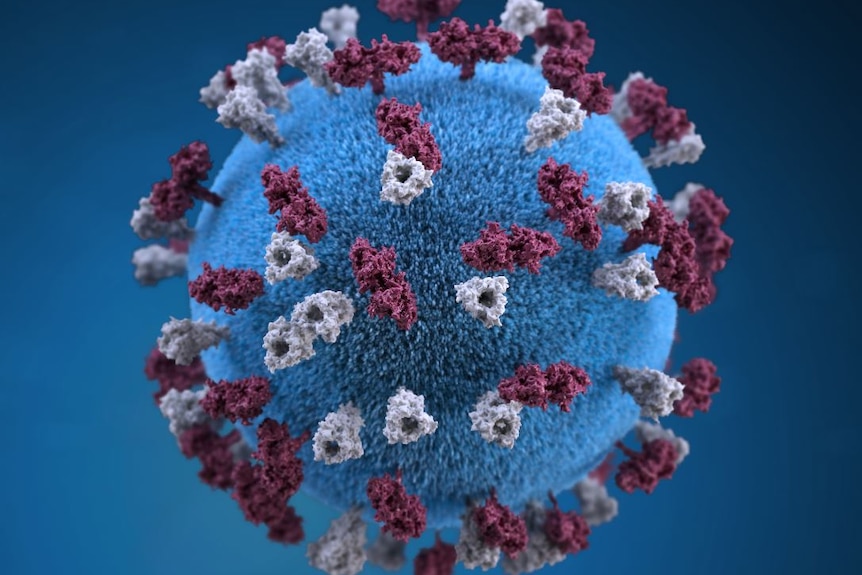 An illustration of the measles virus.