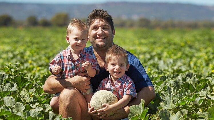 WA melon grower Bruno Capogreco in a field of rockmelons with his children.
