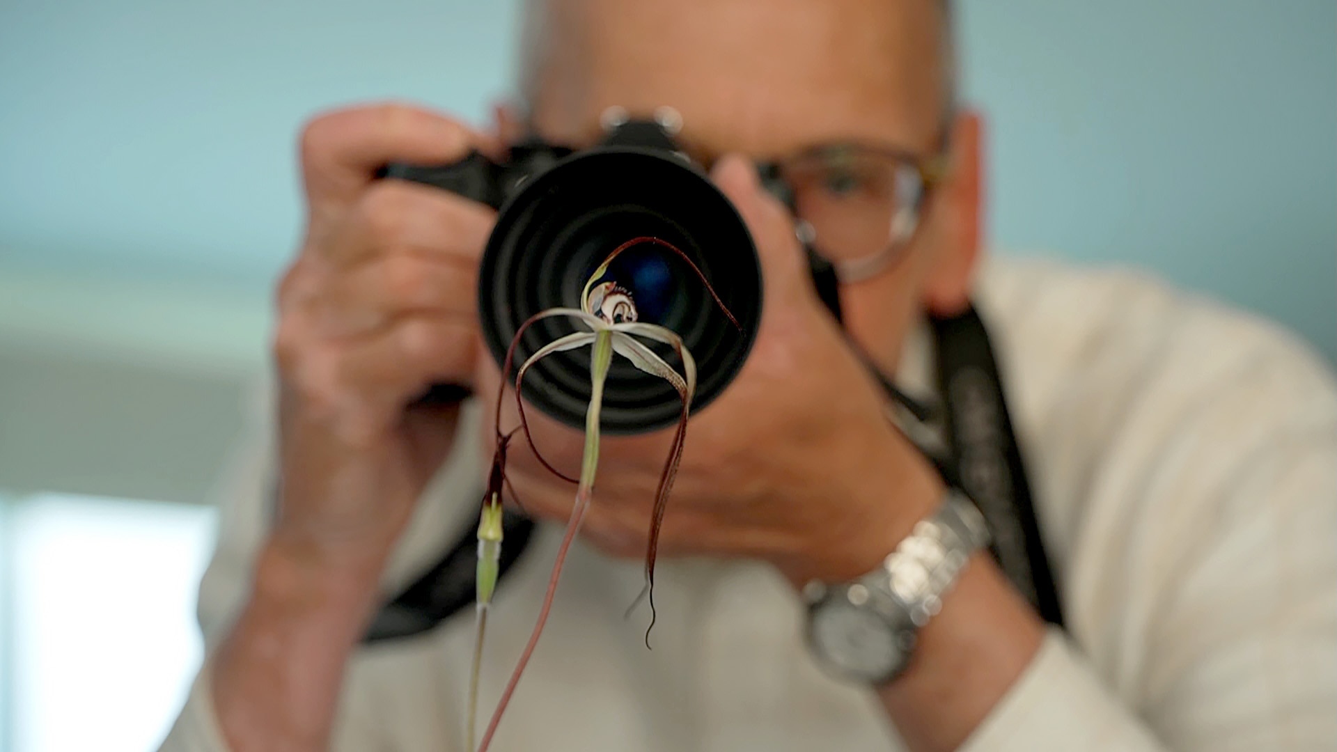 A close up of a man holding a camera up to a spider orchid. The orchid is photographed with the man's camera lens behind it.