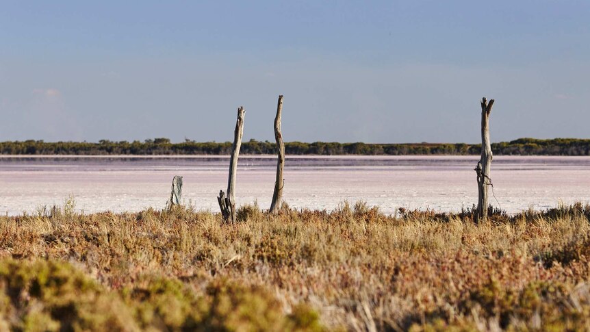 Bushland can be seen where Pink Lake meets the sky.