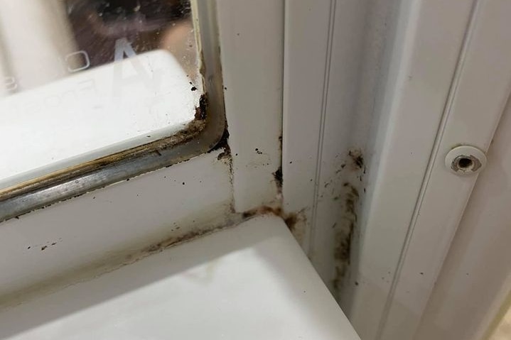 Mould on window frame