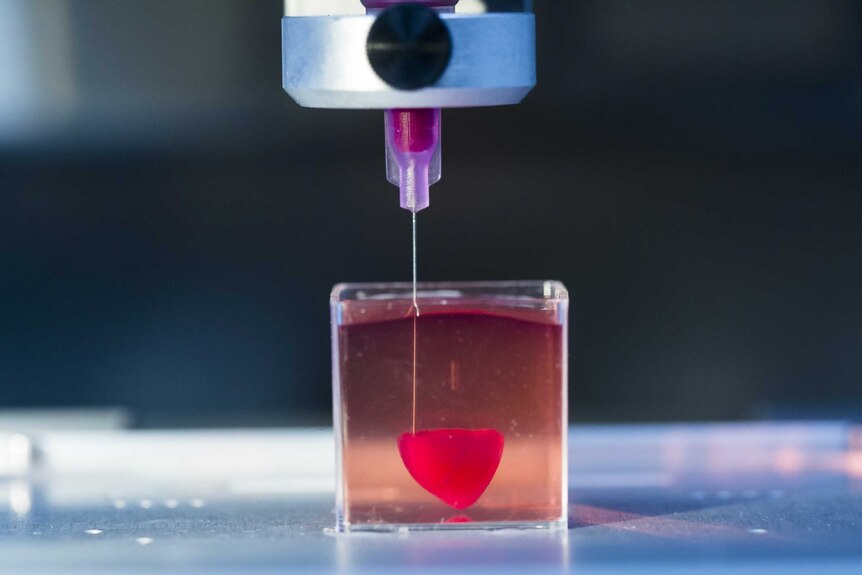 A 3D printed heart made from human tissue being processed