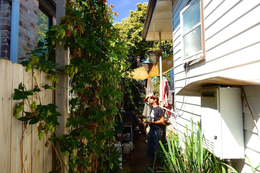 Rohan Geddes in his garden in Marrickville