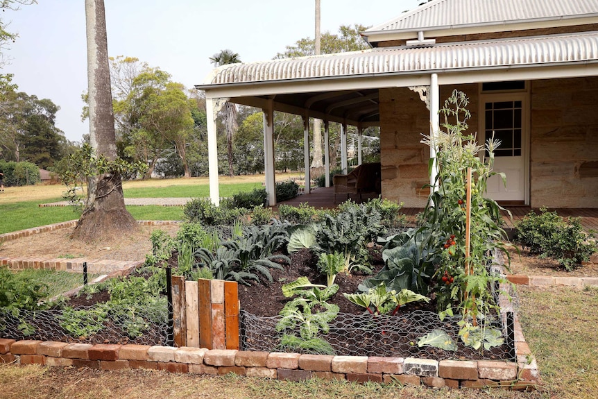 A vegetable garden featured in the ABC series Further Back In Time For Dinner.